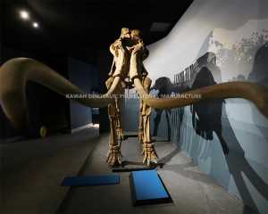 Museum Quality Artificial Mammoth Fossils Animal Skeleton Replicas for Museum Display SR-1801