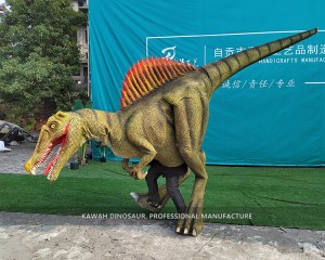 Amusement Park Realistic Animatronic Dinosaur Costume Customized Spinosaurus DC-921