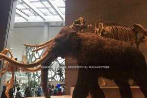 Realistic Mammoth Statue Animatronic Animal AA-1244