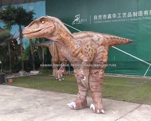 Real Look Realistic Dinosaur Costume Velociraptor Hidden Legs Customized for Dinosaur Park Show DC-916