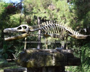 Custom Lifelike Ichthyosaurus Skeletons Dinosaur Fossil Replicas for Forest Park Decoration SR-1803