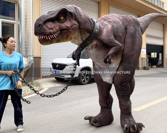 Lifelike Realistic T-Rex Dinosaur Costume Animatronic Dinosaur Costumes Factory DC-915