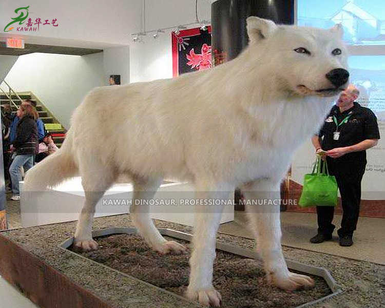 Realistic Arctic Wolf Statue Customized Animatronic Animal