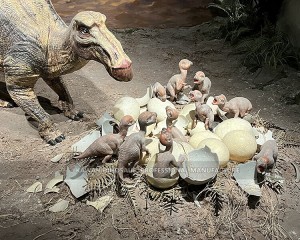 Realistic Newly Born Dinosaurs Dino Egg Baby Dinosaur Customized For Museum PA-2016