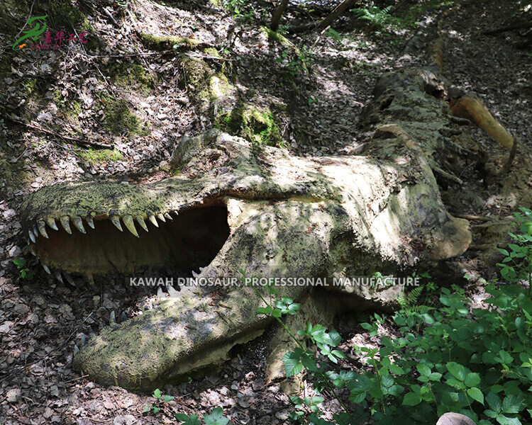 Simulated Dinosaur Remains Customized Dinosaur Theme Park Ancillary Products PA-2002