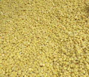 KD Healthy Foods Introduces Premium New Crop IQF Sweet Corn, Elevating Standards in Quality and Expertise