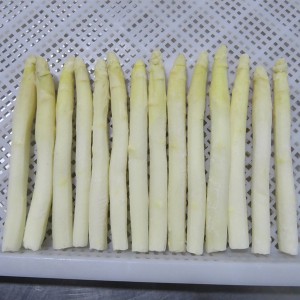 New Crop IQF White Asparagus