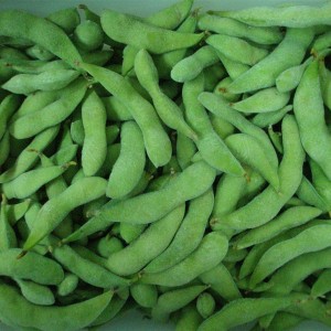 Crop IQF Edamame Soybean Pods အသစ်