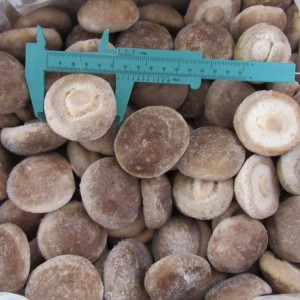 NEW Crop IQF Shiitake Mushroom