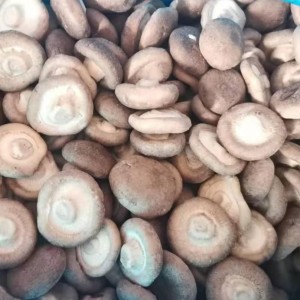 NY Crop IQF Shiitake Mushroom