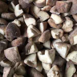NOVO Crop IQF Shiitake Mushroom Quarter