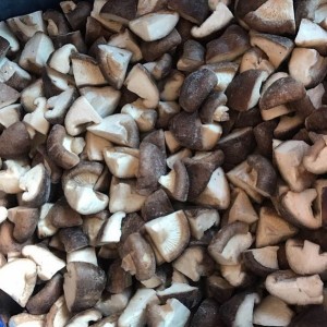NYTT Crop IQF Shiitake Mushroom Quarter