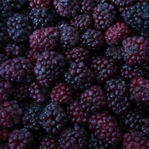 IQF Frozen Blackberry High Quality