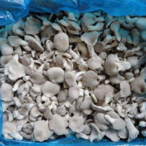 IQF Frozen Oyster Mushroom Bi Materyalên Teze
