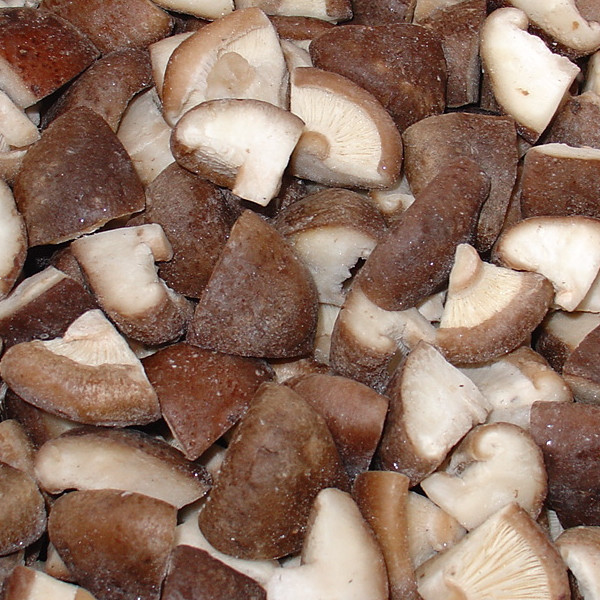 IQF Frozen Shiitake Mushroom Quarter (1)