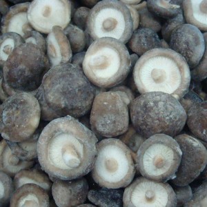 IQF Frozen Shiitake Mushroom janari izoztua