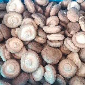 ʻO ka meaʻai maloʻo ʻo IQF Shiitake Mushroom