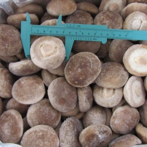 IQF Frozen Shiitake Mushroom ອາຫານແຊ່ແຂງ