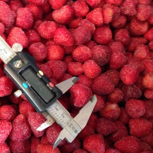 उच्च गुणवत्तेसह संपूर्ण IQF फ्रोझन स्ट्रॉबेरी