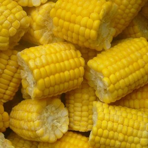 IQF замрзната слатка пченка со не-ГМО