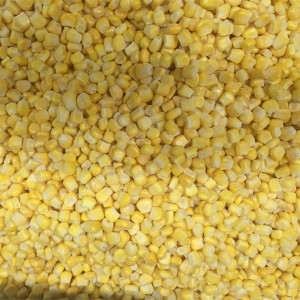 IQF Frozen Sweet Corn Mei Non-GMO
