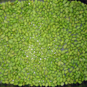 IQF Quid Shelled Edamame Soybeans