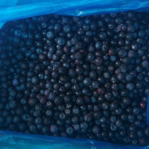 Ukuthengiswa Ngobuningi IQF Frozen Blueberry