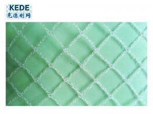 Professional manufacturer of high-quality anti-hail nets