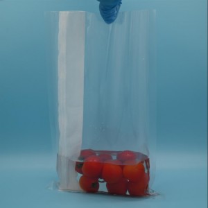 400  ml lateral filter bag