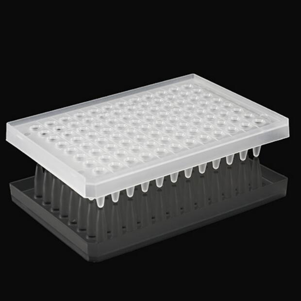 Manufacturer of Bio Rad 96 Well Plate - PCR plate – Krypton