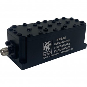 2878-2882 MHz Customized Cavity Filter Manufacture RF Filter