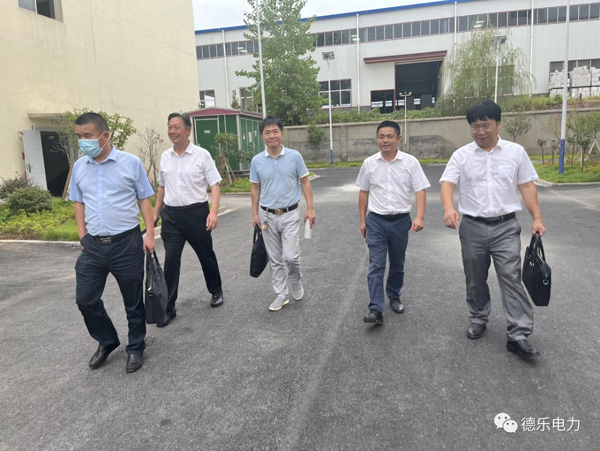 Wang Dingxing, deputy mayor of Guangshui city, went to keer power to investigate production and operation, platform construction and talent construction