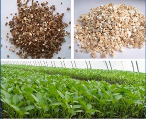 Horticulture and Agriculture media Expanded Vermiculite