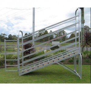 Australia Standard Hot Sale Sheep Ramp