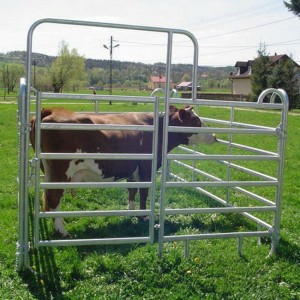Galvanized Cattle/ Horse Fence