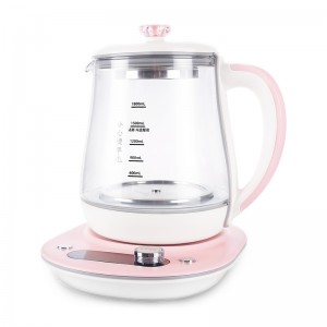 Mini Health Pot Factory –  Electric Kettle Temperature Control Glass Tea Kettle – Kennede