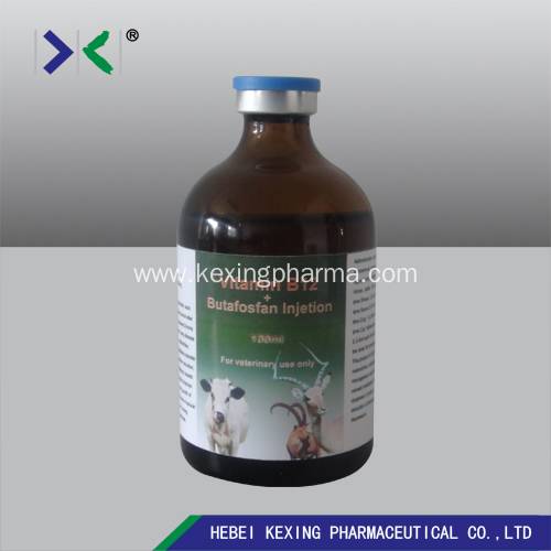 China Animal Multivitamin 50ml Injection Manufacturers and Factory,  Suppliers | Kexing