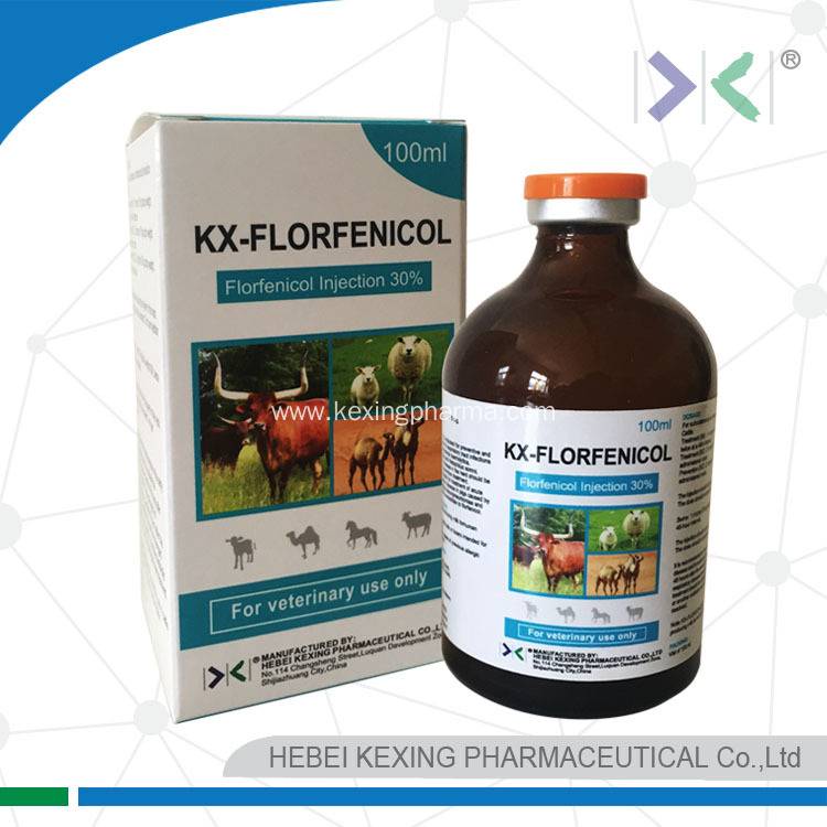 Florfenicol injection for animal use