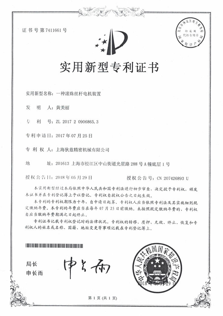 Certificat de brevet (13)