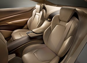Car Nappa leather