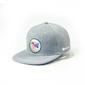 Grey Snapback hat basebal cap with woven label