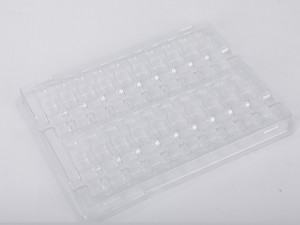 Vacuum forming blister plastic tray package