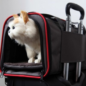 Wholesale Foldable Pet Dog Carrier Travel Bag Outdoor Pet Carrier