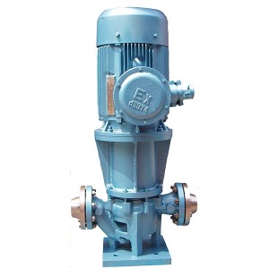 Leading Manufacturer for Diaphragm Sump Pump - MG Magnetic Driven Pump – damei kingmech pump