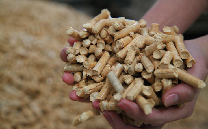 The mutual achievement of biomass pellet machine and waste wood chips