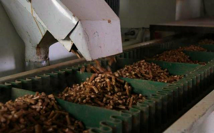 Yangxin a set of biomass pellet machine production line equipment debugging success