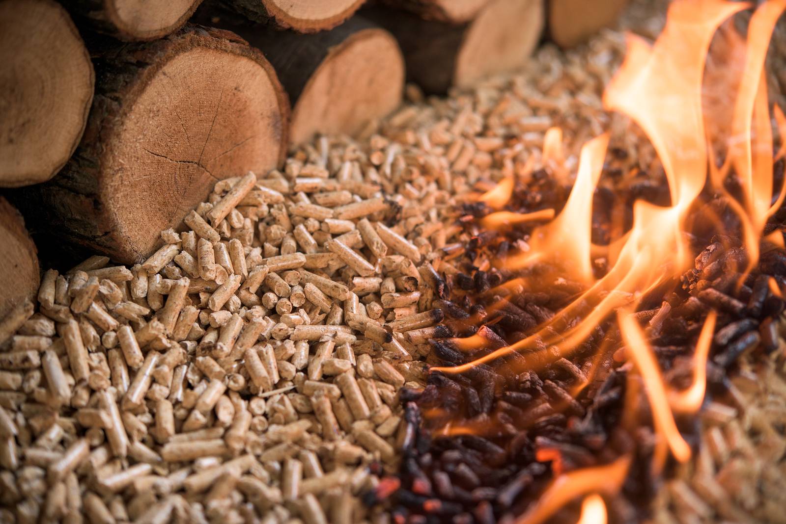 Poland increased production and use of wood pellets