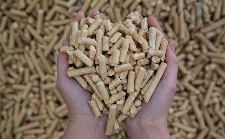 Agricultural and forestry wastes rely on biomass fuel pellet machines to “turn waste into treasure”.