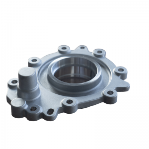 OEM manufacturer of gear box housing for automobile parts