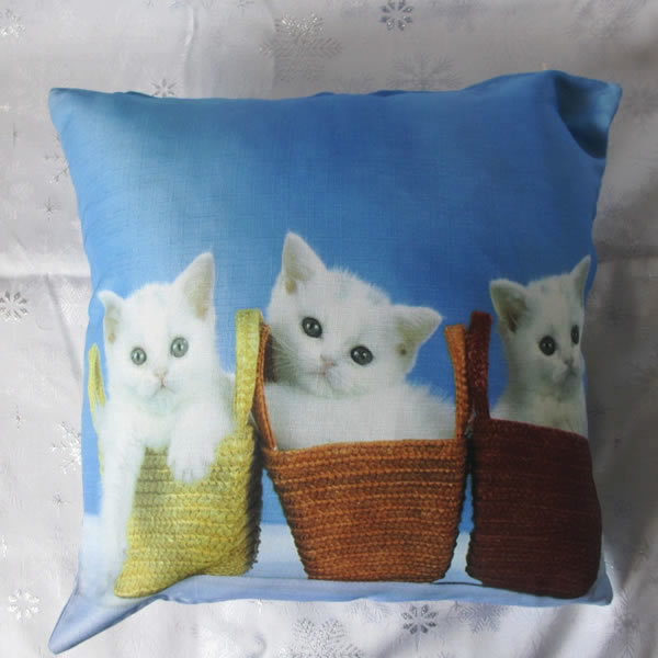 Wholesale Custom Print Cushion